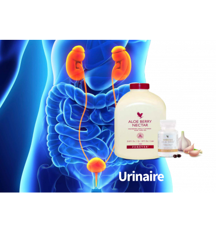 PACK URINAIRE