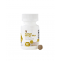 FOREVER GINKGO PLUS FOREVER GINKGO PLUS