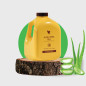 PULPE D'ALOES STABILISEE PULPE D'ALOES STABILISEE